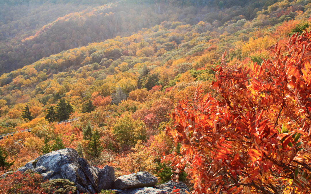 What is To Do there in Blowing Rock in October?